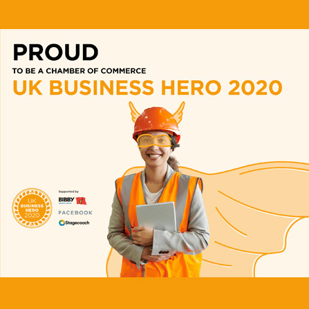 UK Business Hero 2020